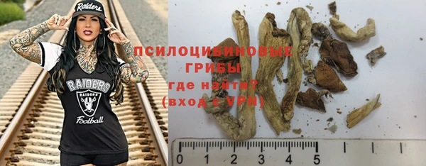 винт Алзамай