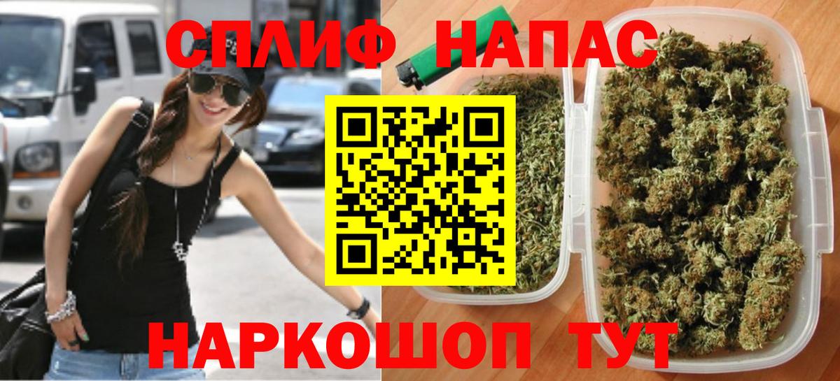 Псилоцибиновые грибы Протвино
